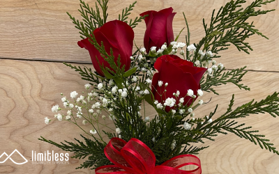 Love, Friendship, and Connection: Celebrating Positive Relationships in the Disability Community